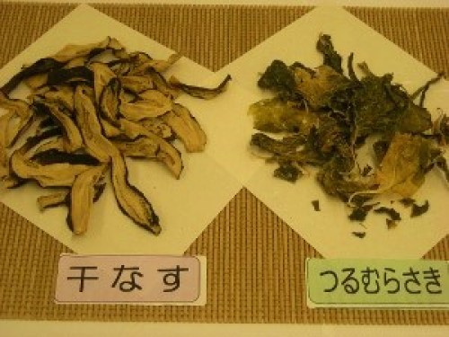 DSCN8981 (300x225).jpg