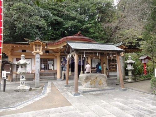 2.2016年桜 宮地嶽神社 (15).JPG