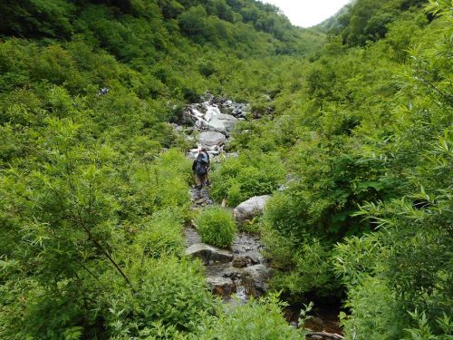 北岳大樺沢登山道.JPG