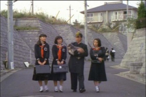 PDVD_019.jpg