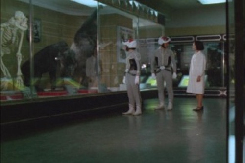 PDVD_010.jpg
