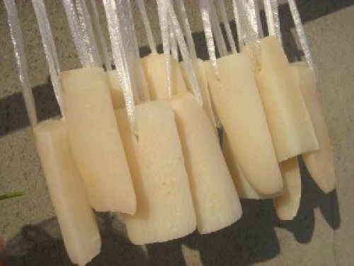 DSCN4851 (300x225).jpg