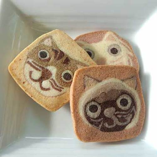 20120118猫クッキー01.jpg