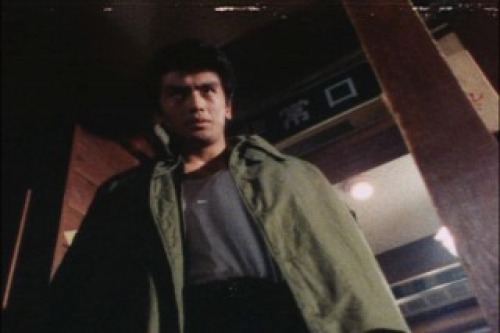 PDVD_131.jpg