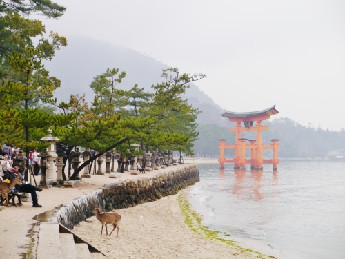 大鳥居と鹿