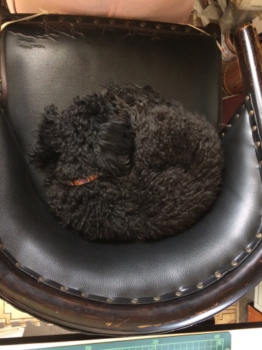 IMG_8269 - コピー.JPG