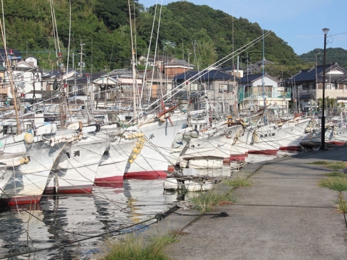 2012年９月１５日台風１６号 023_R.jpg