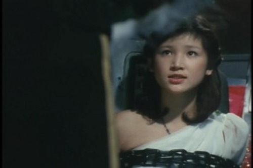 PDVD_017.jpg