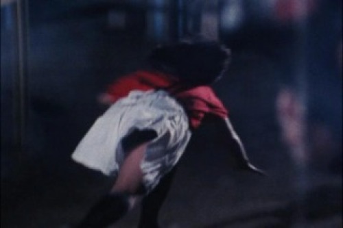 PDVD_020.jpg