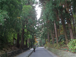 瑞鳳殿2.jpg