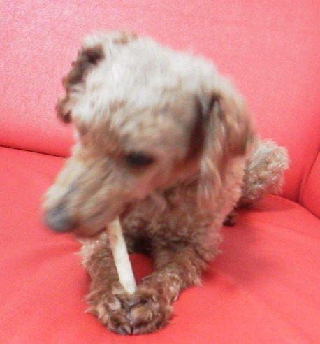 2013051717330000(V.2013_05_19__02_07_11).jpg