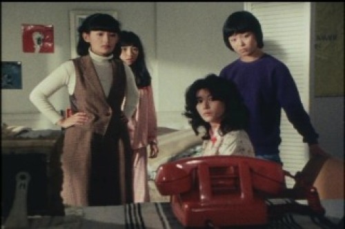 PDVD_012.jpg