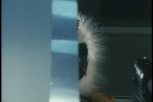 PDVD_019.jpg