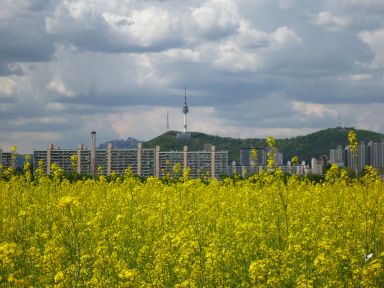 20120502GW韓国旅行36.jpg