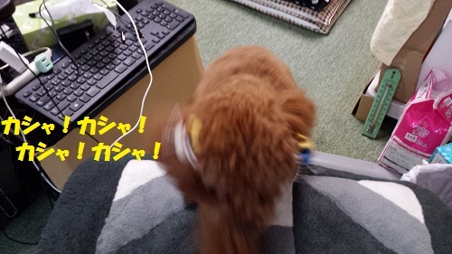 20140415_174919_4.jpg