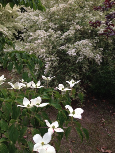 201405241928_5342_iphone.jpg