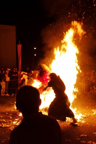 DSC02315 (533x800).jpg