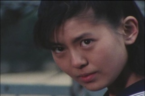 PDVD_033.jpg