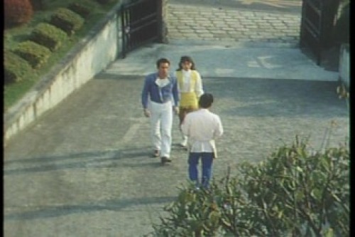 PDVD_009.jpg