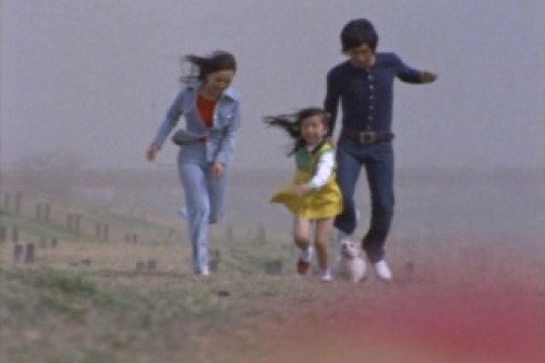 PDVD_019.jpg