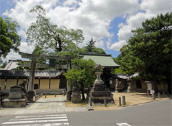 所澤屋1.jpg