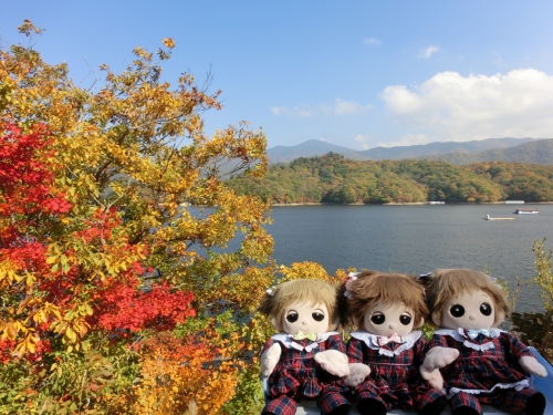 CIMG1814 (1280x960).jpg