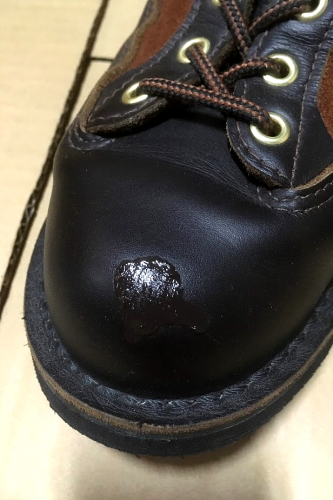 DANNER LIGHT  LOVEJOY 30445　メンテ6.JPG