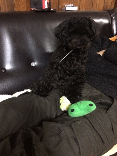 IMG_8161 - コピー.JPG