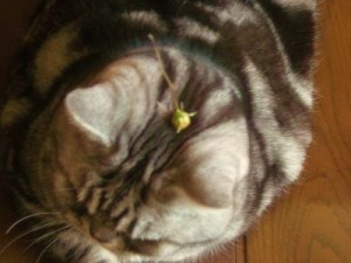 DSCN1955 (300x225).jpg