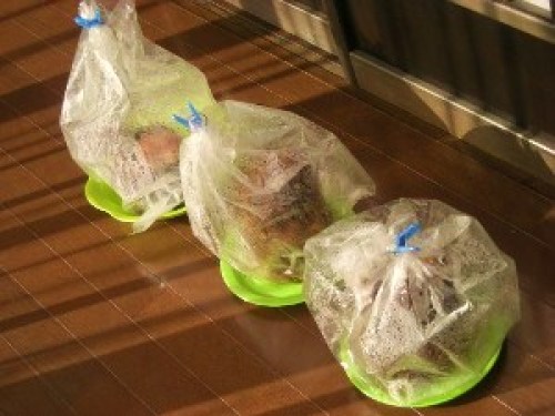 DSCN2724 (300x225).jpg