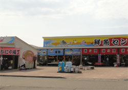 能生7.jpg