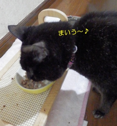 20150620_3.jpg