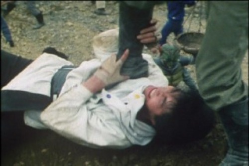 PDVD_033.jpg