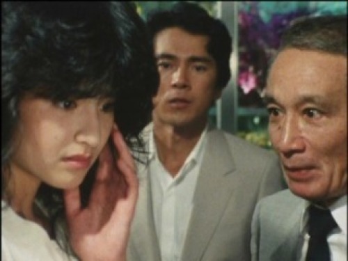 PDVD_045.jpg