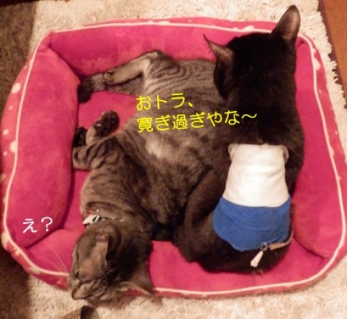 20151221_4.jpg