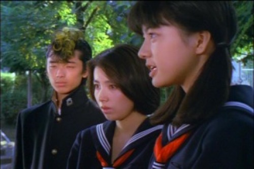 PDVD_313.jpg