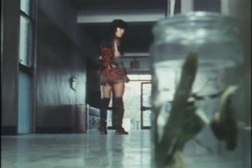 PDVD_021.jpg
