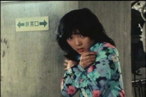 PDVD_038.jpg