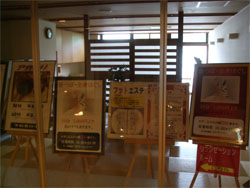 紫苑63.jpg