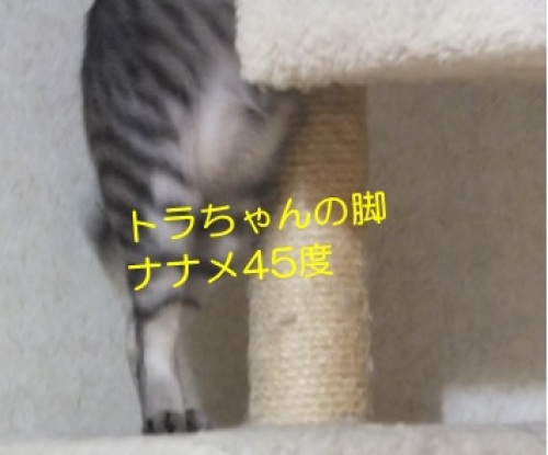 20130602_4.jpg