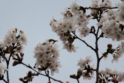 IMG_8208 (640x427).jpg