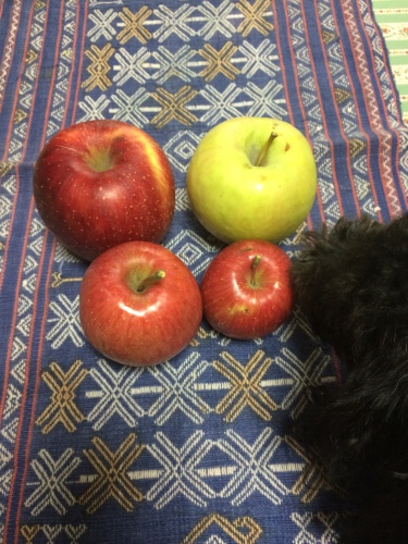 IMG_0409 - コピー.JPG