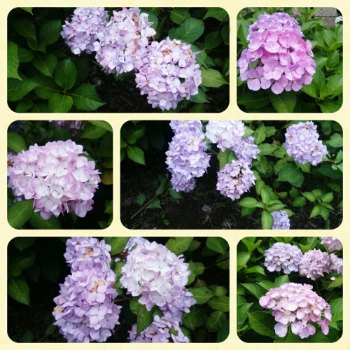 CYMERA_20150623_160620.jpg