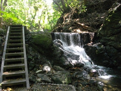 大楠山前田川 (4) (500x375).jpg