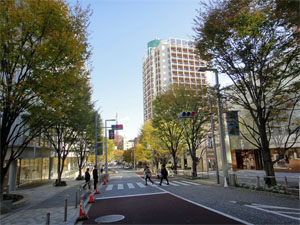六本木ヒルズ11.jpg