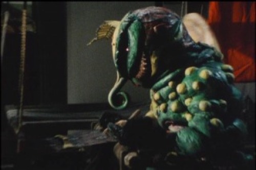 PDVD_032.jpg