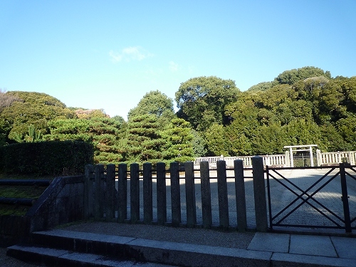 P1030717.jpg