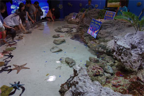 沖縄555.jpg