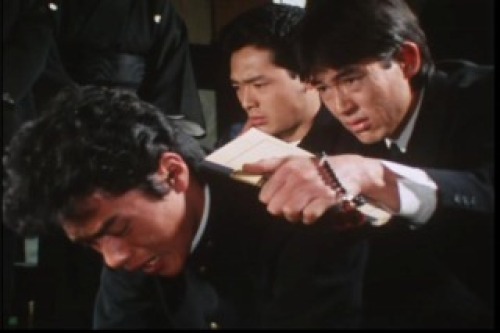 PDVD_106.jpg