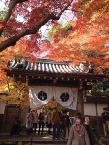 2013-11-27 10.32.56.jpg